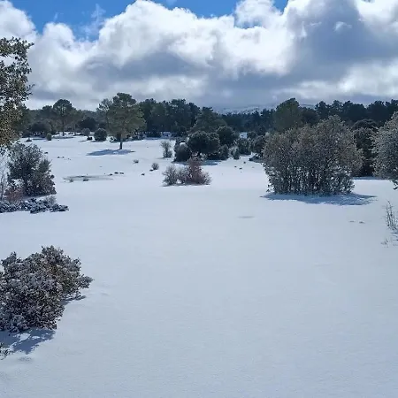 El Pinar De La Lobera * Huescar