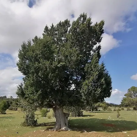 El Pinar De La Lobera Country house